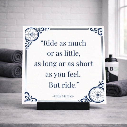 Delfter blaue Fliesen, Fahrradpaar